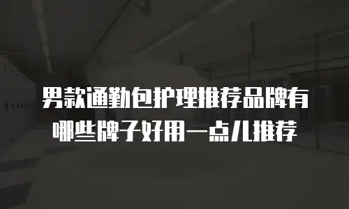 男款通勤包护理推荐品牌有哪些牌子好用一点儿推荐