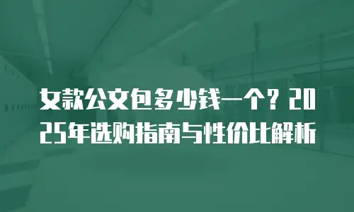女款公文包多少钱一个？2025年选购指南与性价比解析  