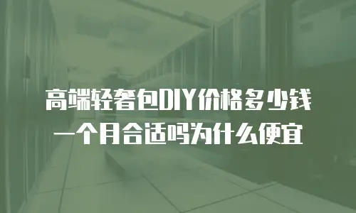 高端轻奢包DIY价格多少钱一个月合适吗为什么便宜