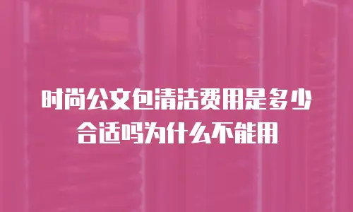 时尚公文包清洁费用是多少合适吗为什么不能用