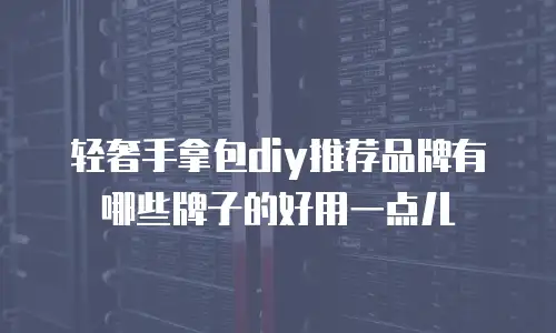 轻奢手拿包diy推荐品牌有哪些牌子的好用一点儿