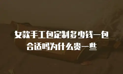 女款手工包定制多少钱一包合适吗为什么贵一些