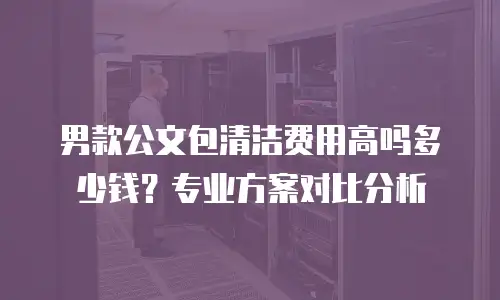 男款公文包清洁费用高吗多少钱？专业方案对比分析