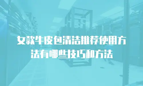 女款牛皮包清洁推荐使用方法有哪些技巧和方法