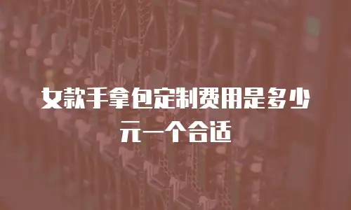女款手拿包定制费用是多少元一个合适