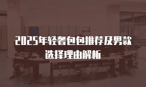2025年轻奢包包推荐及男款选择理由解析
