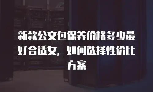 新款公文包保养价格多少最好合适女，如何选择性价比方案