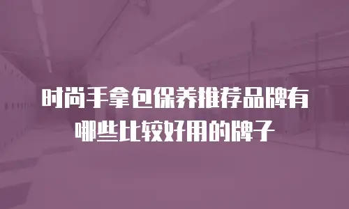 时尚手拿包保养推荐品牌有哪些比较好用的牌子