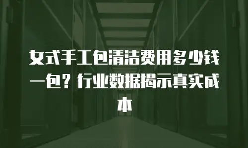 女式手工包清洁费用多少钱一包？行业数据揭示真实成本