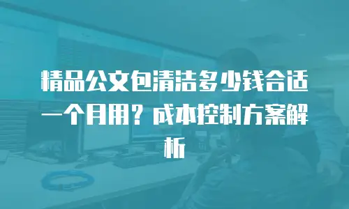 精品公文包清洁多少钱合适一个月用？成本控制方案解析