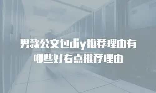 男款公文包diy推荐理由有哪些好看点推荐理由