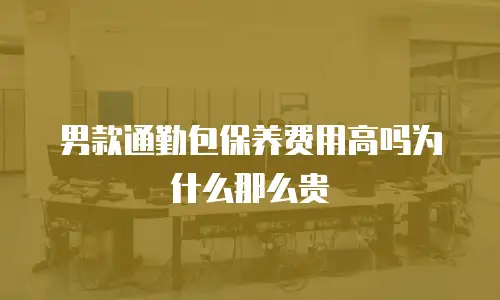 男款通勤包保养费用高吗为什么那么贵