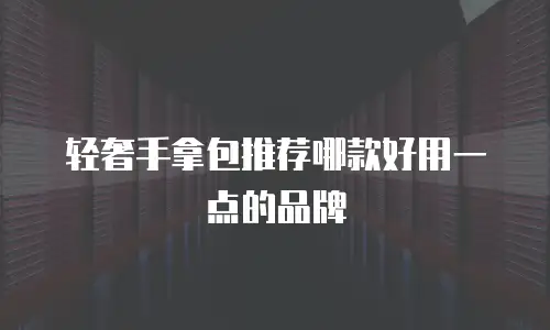 轻奢手拿包推荐哪款好用一点的品牌