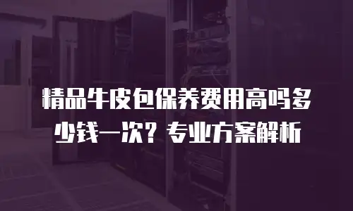 精品牛皮包保养费用高吗多少钱一次？专业方案解析
