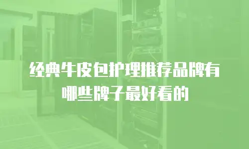 经典牛皮包护理推荐品牌有哪些牌子最好看的