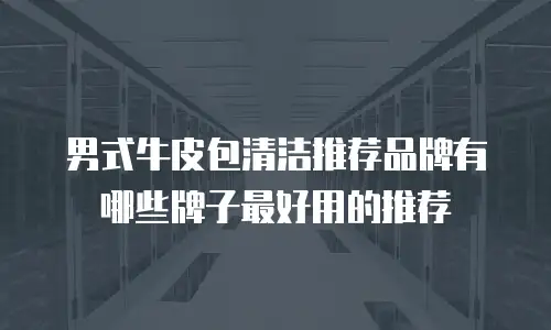 男式牛皮包清洁推荐品牌有哪些牌子最好用的推荐
