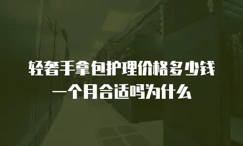 轻奢手拿包护理价格多少钱一个月合适吗为什么