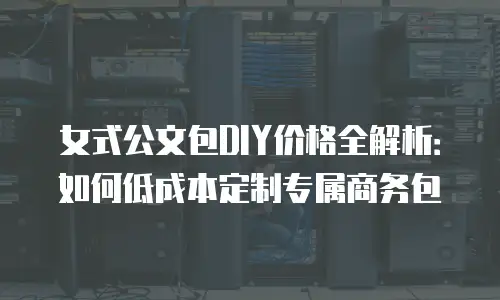 女式公文包DIY价格全解析：如何低成本定制专属商务包