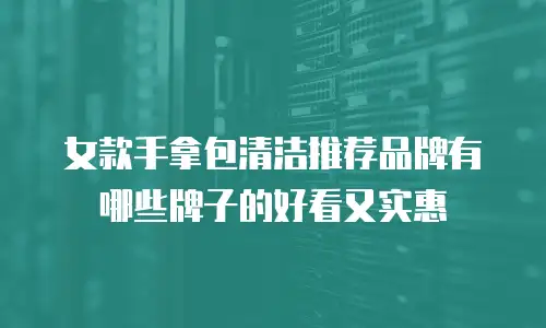 女款手拿包清洁推荐品牌有哪些牌子的好看又实惠