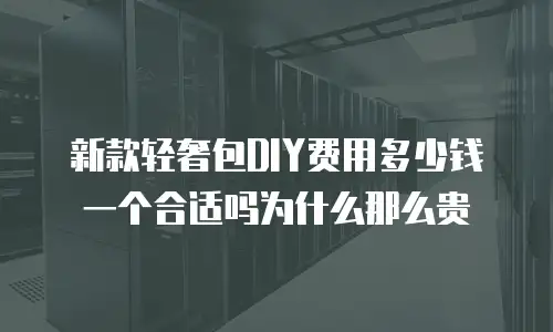 新款轻奢包DIY费用多少钱一个合适吗为什么那么贵