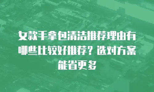 女款手拿包清洁推荐理由有哪些比较好推荐？选对方案能省更多