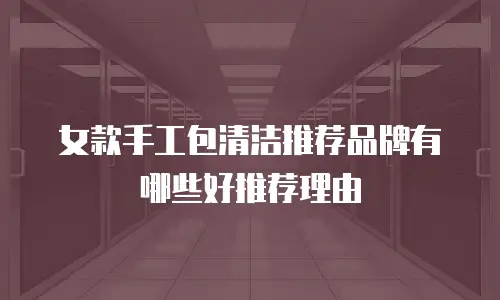 女款手工包清洁推荐品牌有哪些好推荐理由