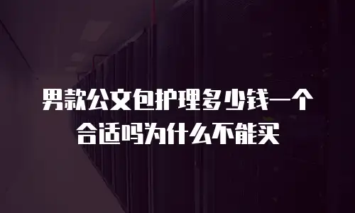 男款公文包护理多少钱一个合适吗为什么不能买