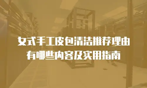 女式手工皮包清洁推荐理由有哪些内容及实用指南