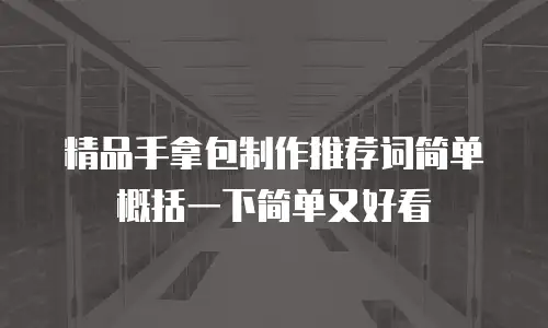 精品手拿包制作推荐词简单概括一下简单又好看