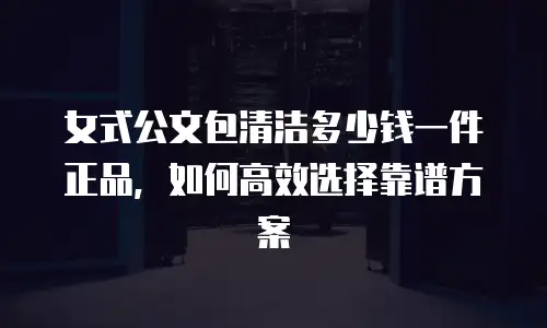 女式公文包清洁多少钱一件正品，如何高效选择靠谱方案