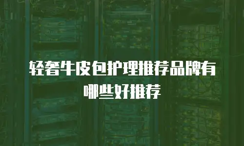 轻奢牛皮包护理推荐品牌有哪些好推荐