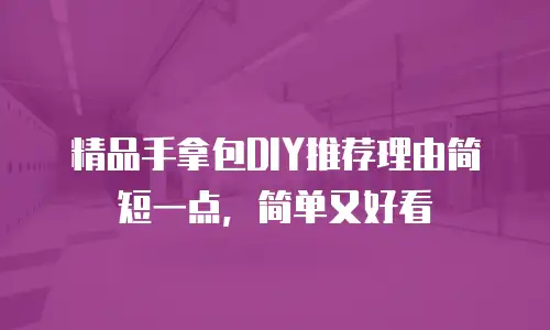 精品手拿包DIY推荐理由简短一点，简单又好看