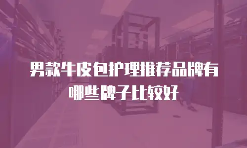 男款牛皮包护理推荐品牌有哪些牌子比较好