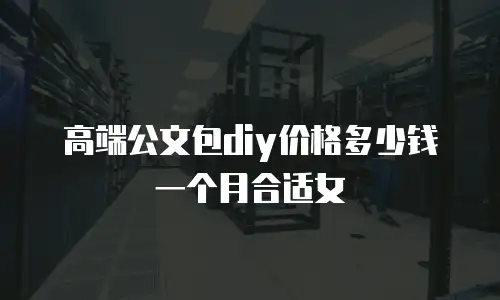 高端公文包diy价格多少钱一个月合适女