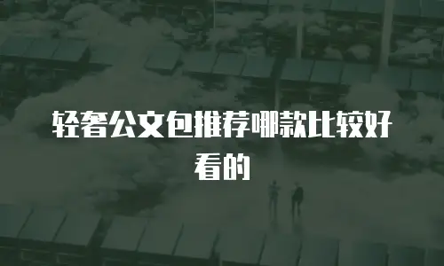 轻奢公文包推荐哪款比较好看的