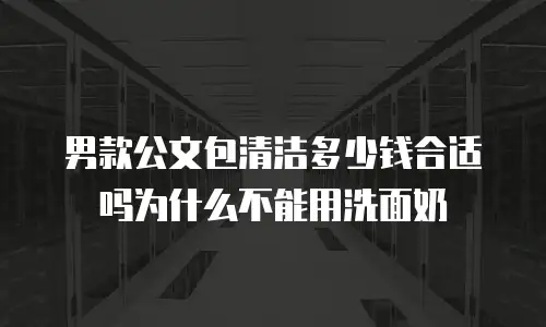男款公文包清洁多少钱合适吗为什么不能用洗面奶