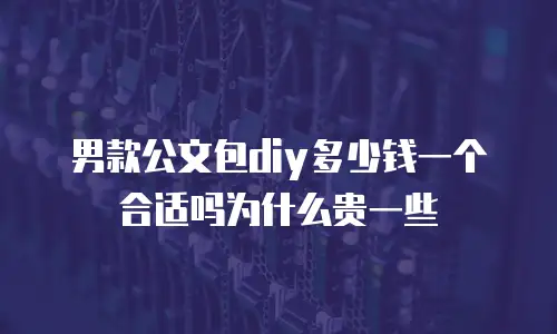 男款公文包diy多少钱一个合适吗为什么贵一些