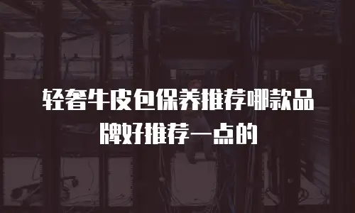 轻奢牛皮包保养推荐哪款品牌好推荐一点的