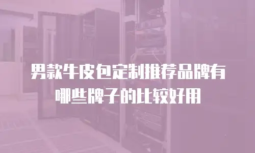 男款牛皮包定制推荐品牌有哪些牌子的比较好用