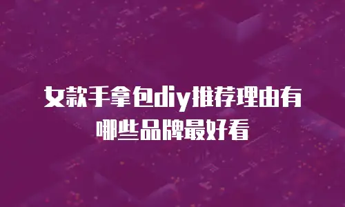女款手拿包diy推荐理由有哪些品牌最好看