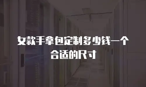 女款手拿包定制多少钱一个合适的尺寸