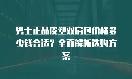 男士正品皮塑双肩包价格多少钱合适？全面解析选购方案