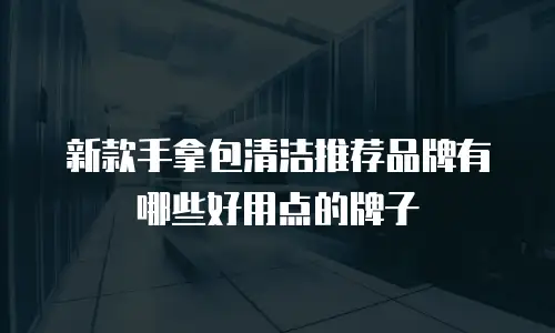 新款手拿包清洁推荐品牌有哪些好用点的牌子