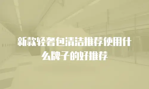 新款轻奢包清洁推荐使用什么牌子的好推荐