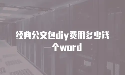 经典公文包diy费用多少钱一个word