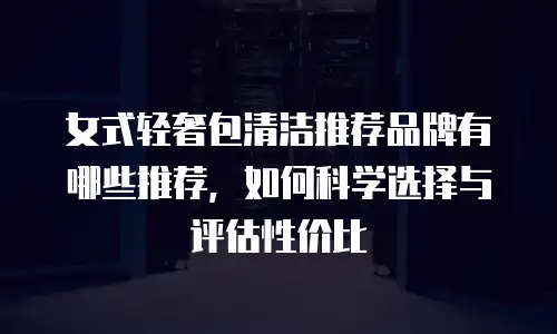 女式轻奢包清洁推荐品牌有哪些推荐，如何科学选择与评估性价比