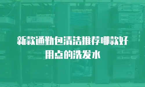 新款通勤包清洁推荐哪款好用点的洗发水