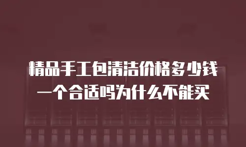 精品手工包清洁价格多少钱一个合适吗为什么不能买