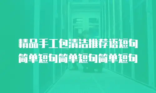 精品手工包清洁推荐语短句简单短句简单短句简单短句