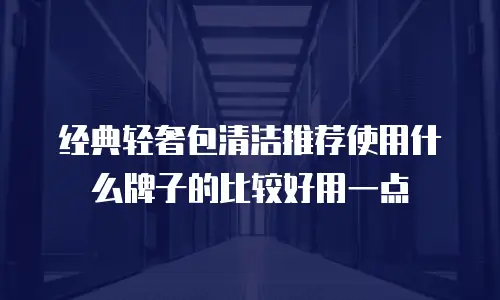 经典轻奢包清洁推荐使用什么牌子的比较好用一点